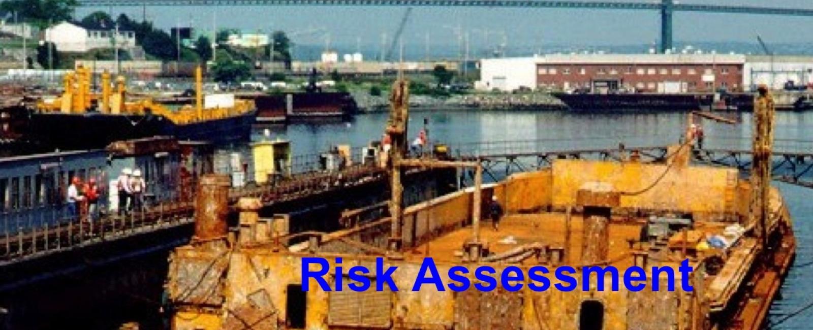 Risk Assessment Irving Whale Barge